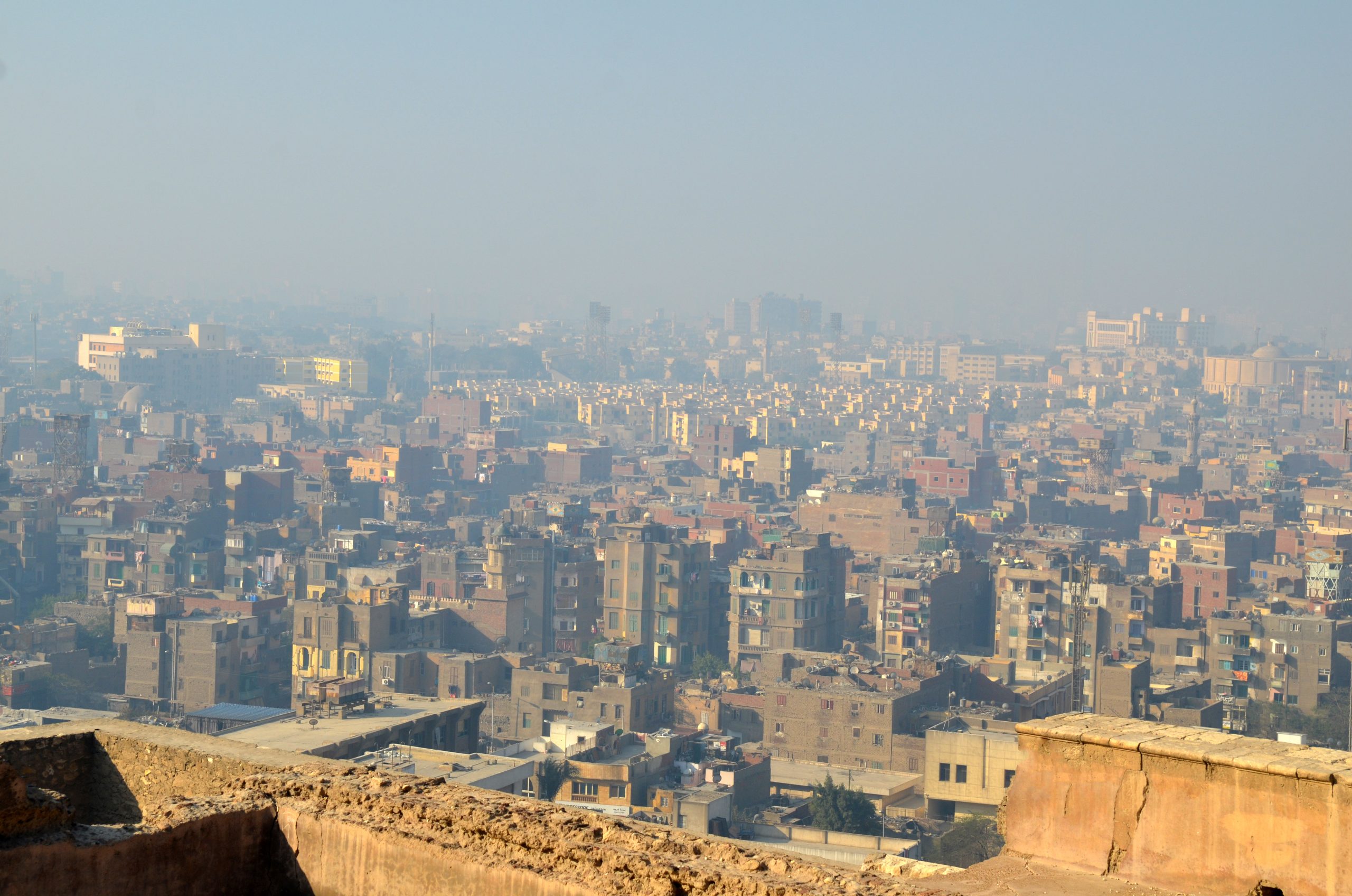 What more could Egypt be doing to tackle carbon emissions? | Enterprise